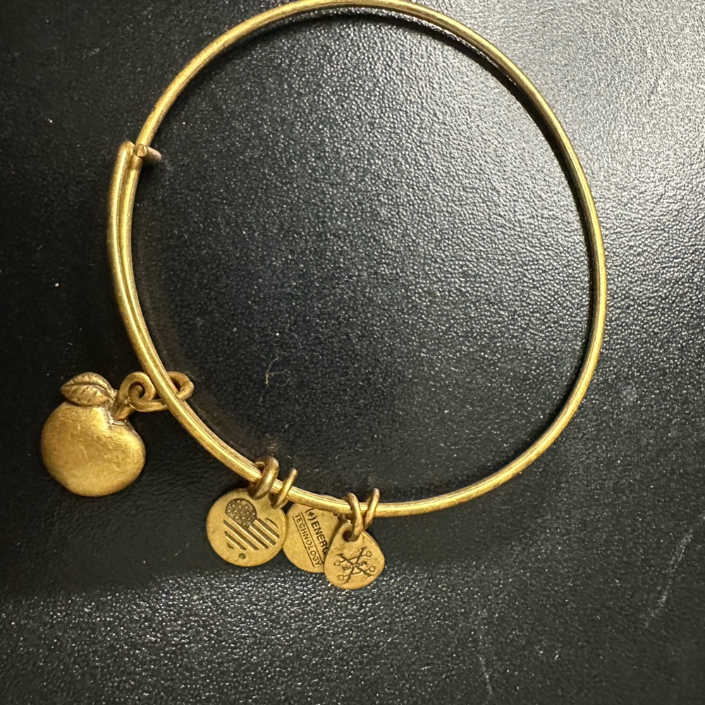 Alex and Ani Apple / Teacher gold tone bangle EUC